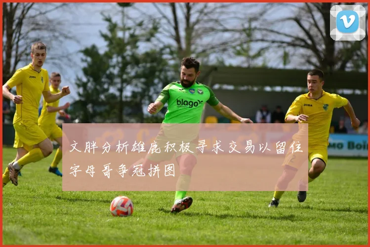 文胖分析雄鹿积极寻求交易以留住字母哥争冠拼图